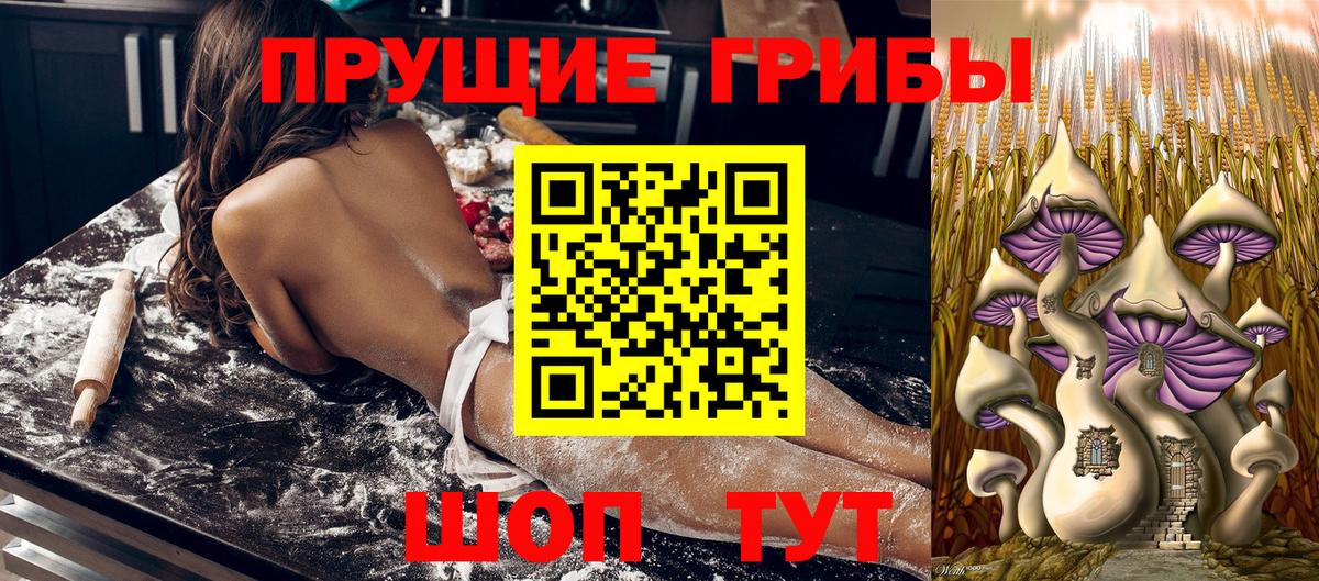 Галлюциногенные грибы мухоморы Новокубанск