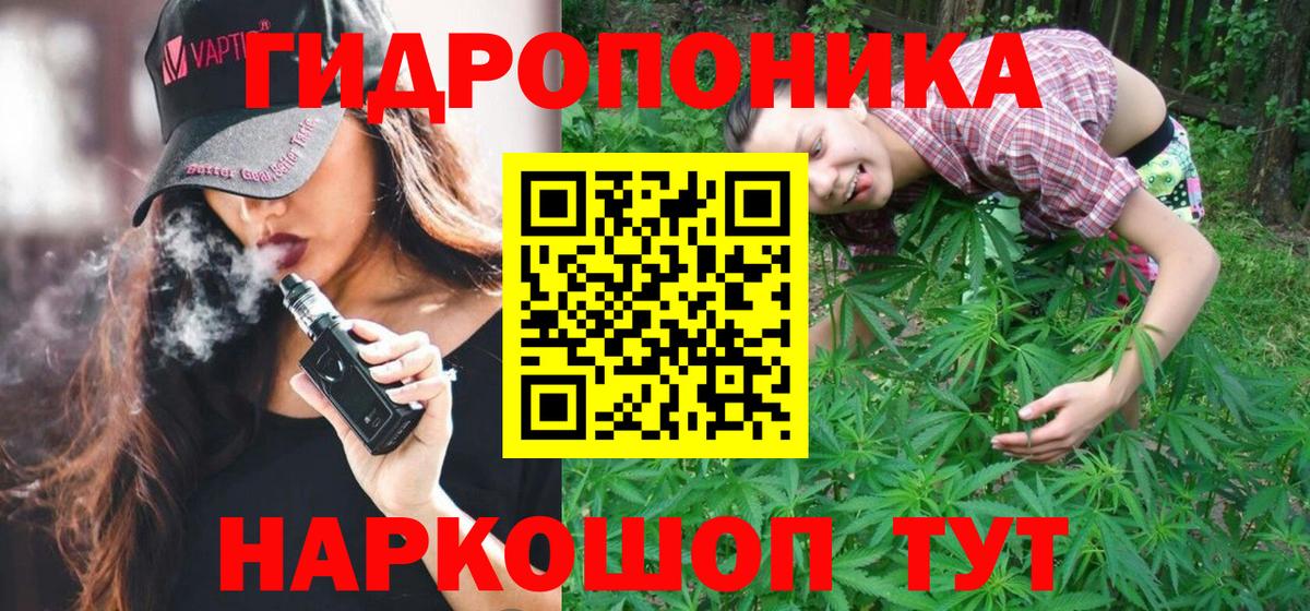 Новокубанск  Марихуана Bruce Banner  Вход с VPN  МАРИХУАНА White Widow  МАРИХУАНА марихуана 